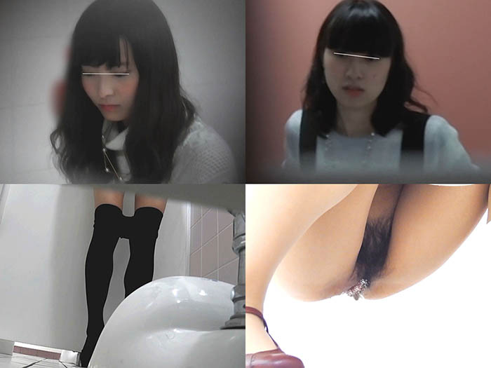 美しい日本の未来トイレ盗撮 