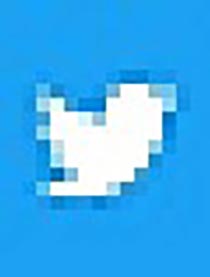 Twitter露出動画まとめ