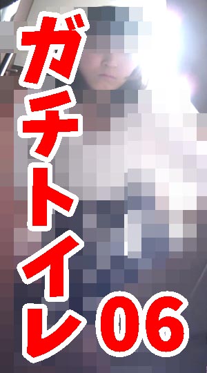 ガチトイレ06　大量1０人収録